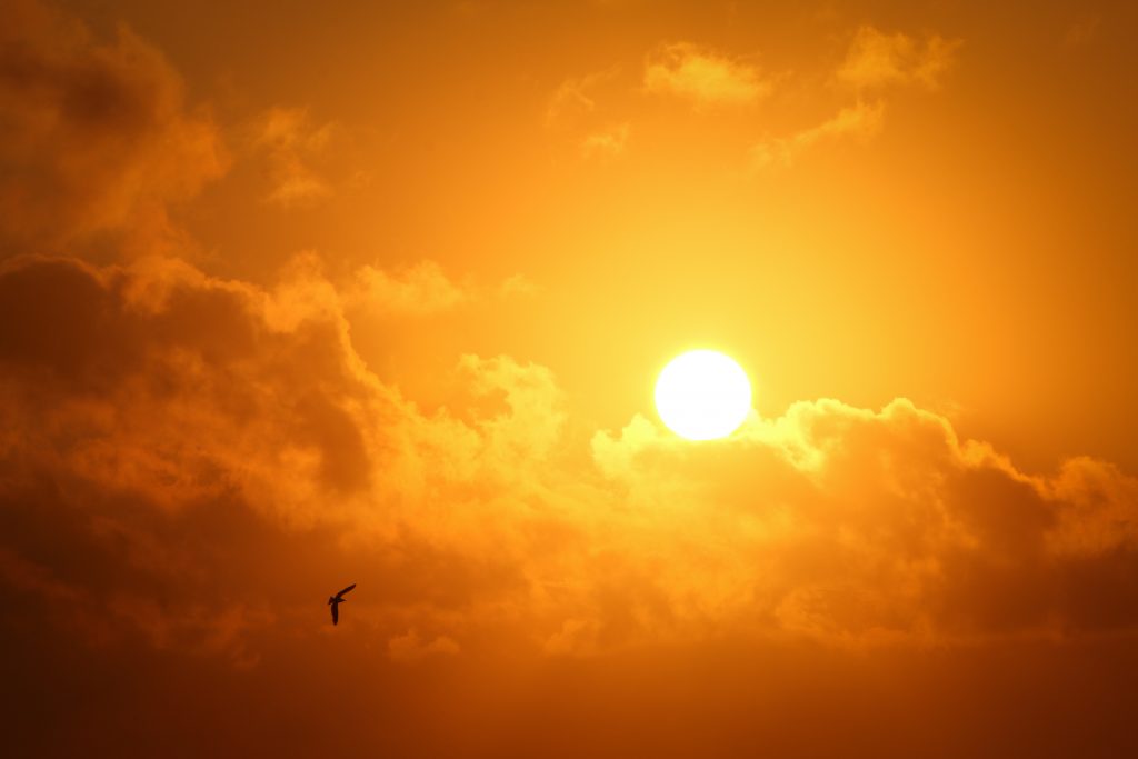 Alerta de calor y humedad extrema para los próximos días