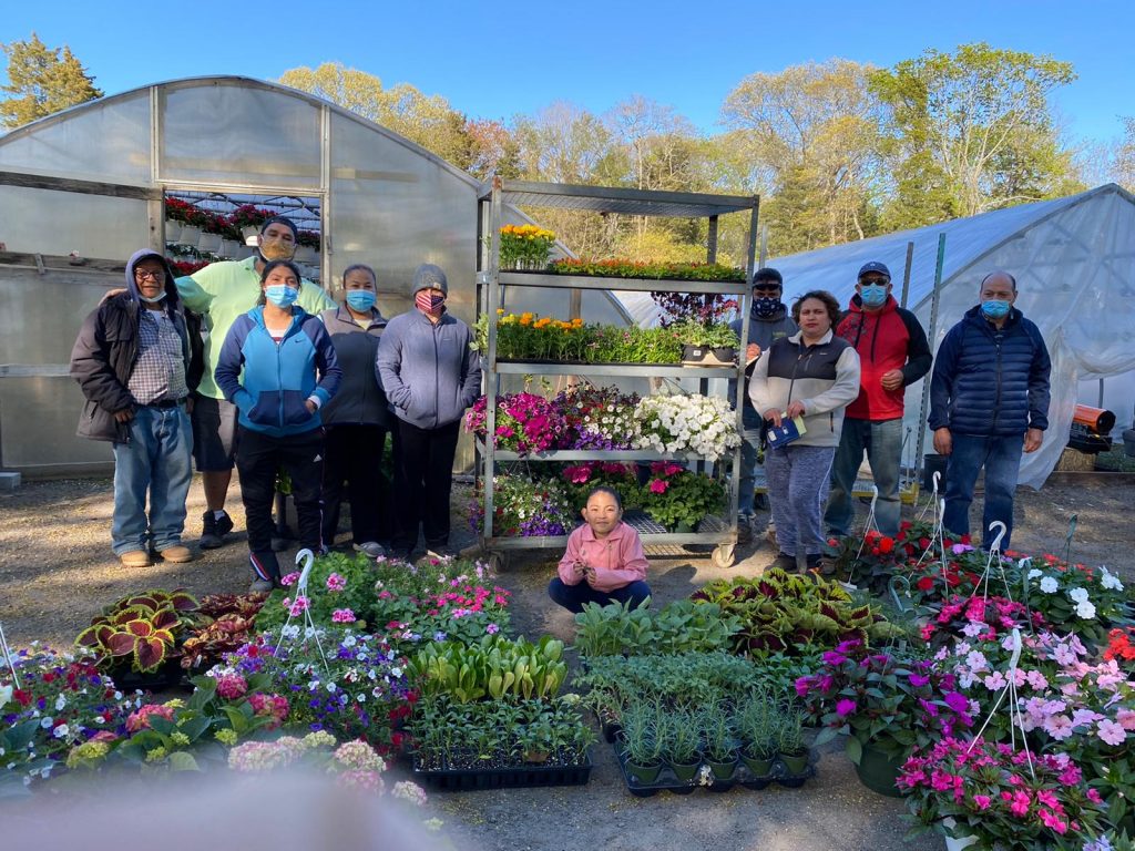 “Por un Futuro Mejor”: La Cooperativa de Trabajadores Agrícolas de Long Island abrió sus puertas al público ayer con un mercado de flores y plantas