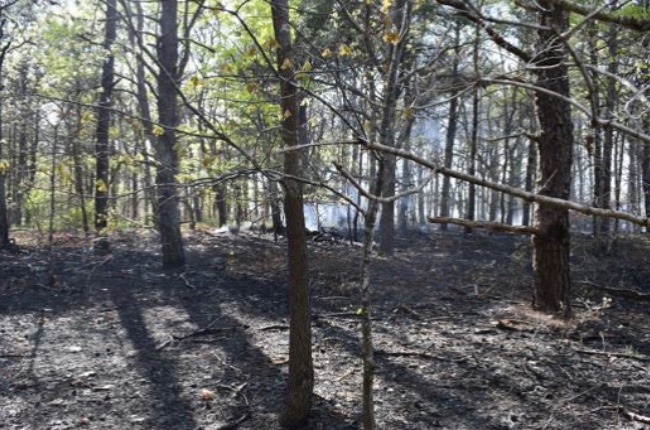 Este 16 de marzo comienza prohibición estatal de quema de maleza para prevenir incendios forestales