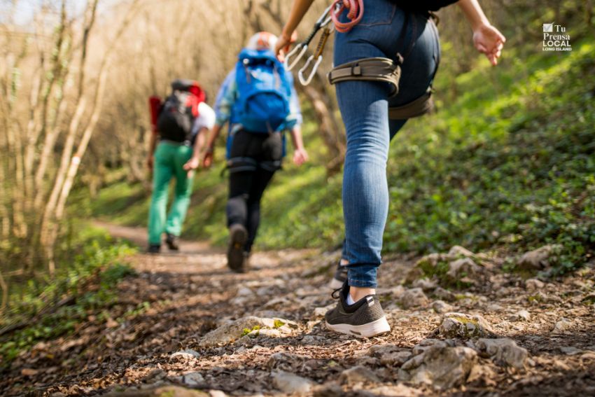 El Departamento de Conservación Ambiental ofrece caminata gratuita en Suffolk para celebrar el Año Nuevo 2026