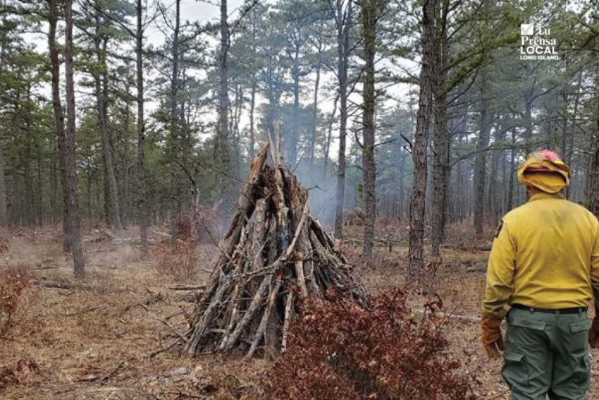 Quema controlada en parque estatal del East End busca reducir este viernes riesgo de incendios forestales tras pérdida masiva de árboles