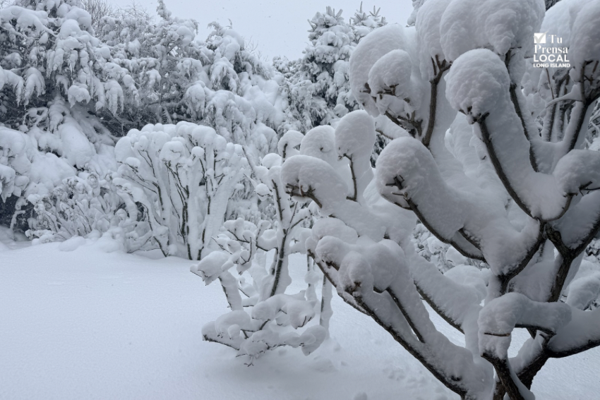 Condiciones severas generan cortes de energía: PSEG reporta más de 17 mil usuarios afectados