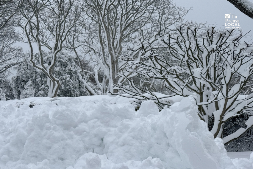 Nevada y ventisca de este lunes dejan acumulaciones de más de 2 pies en algunos sectores de Long Island