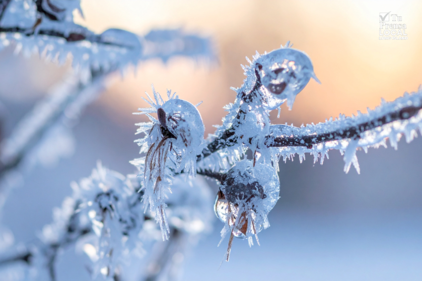 Alerta de congelación para el East End: Posibles  temperaturas bajo cero entre la noche del lunes y la mañana del martes