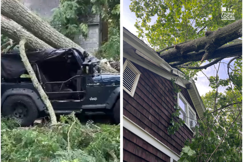 Familia de Hampton Bays narra los angustiosos momentos que vivieron el sábado cuando la tormenta hizo que dos árboles cayeran sobre su casa y sus dos vehículos